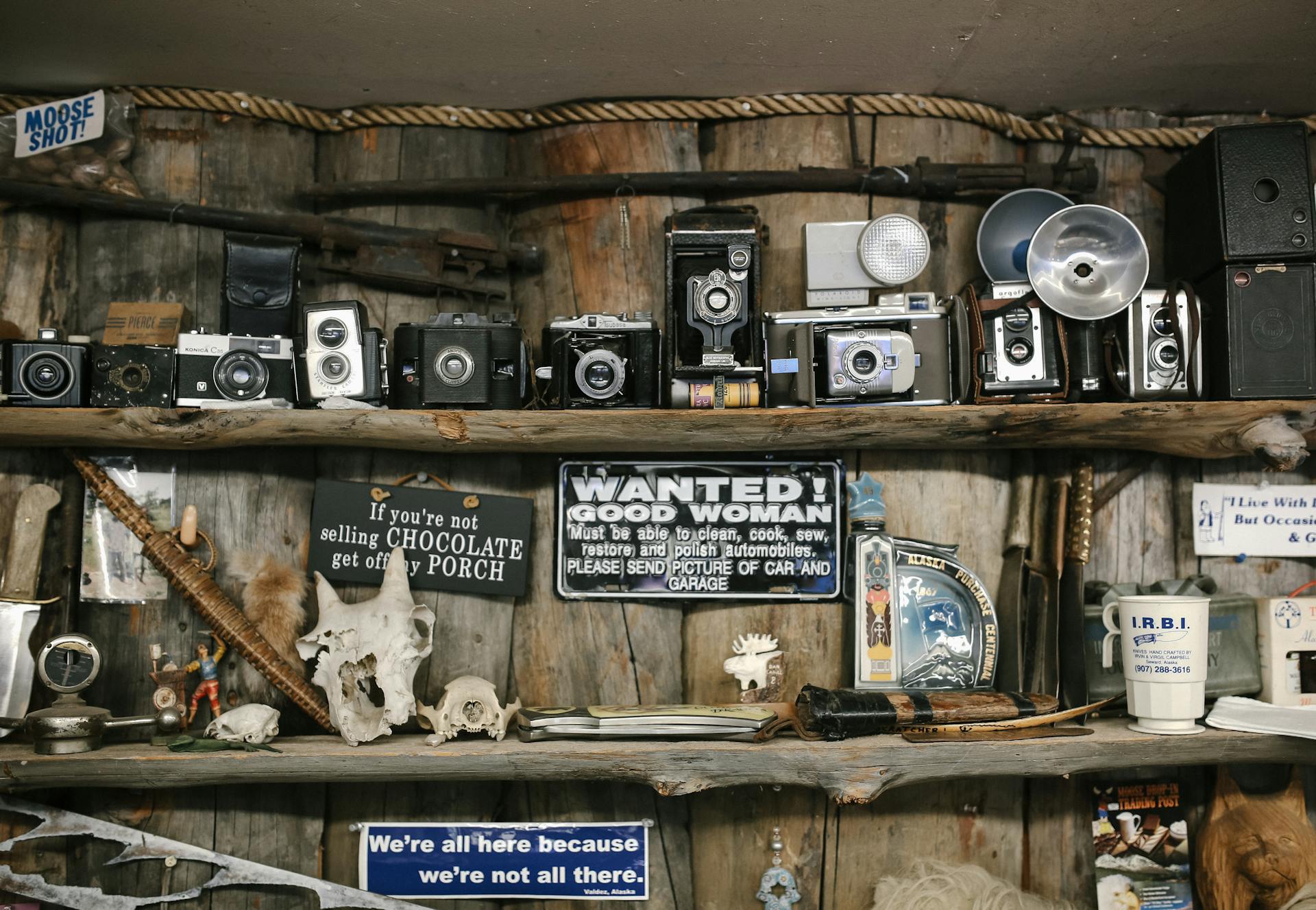 Expert Maintenance & Water Treatment